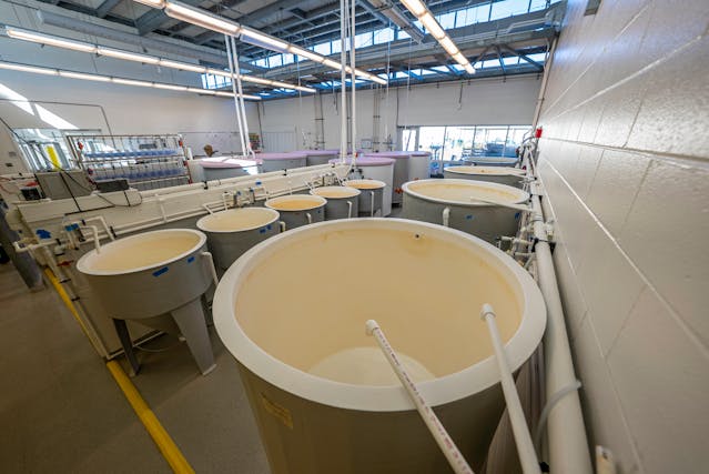 plastic-tank