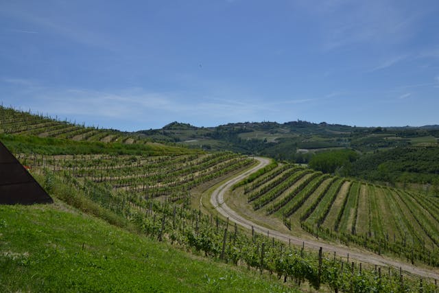 Domaine viticole près de Valdobbiadene en Italie