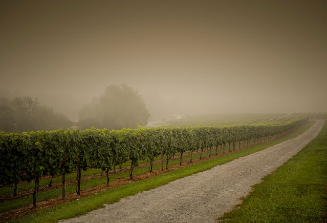 Domaine viticole dans la province de Brescia en Italie